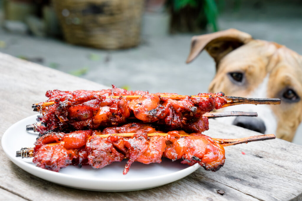 Veilig barbecueën met je hond
